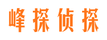 佛山市侦探调查公司